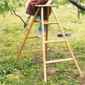Japanese wooden stepladder