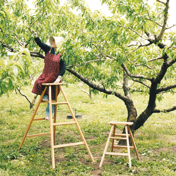 Japanese wooden stepladder