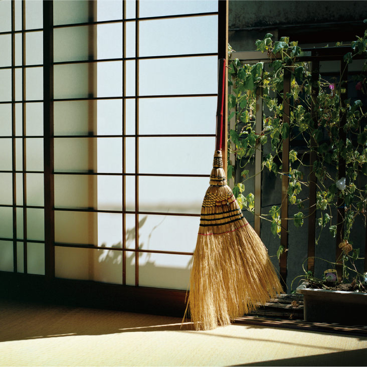 Japanese Broom (Tokyo Style)