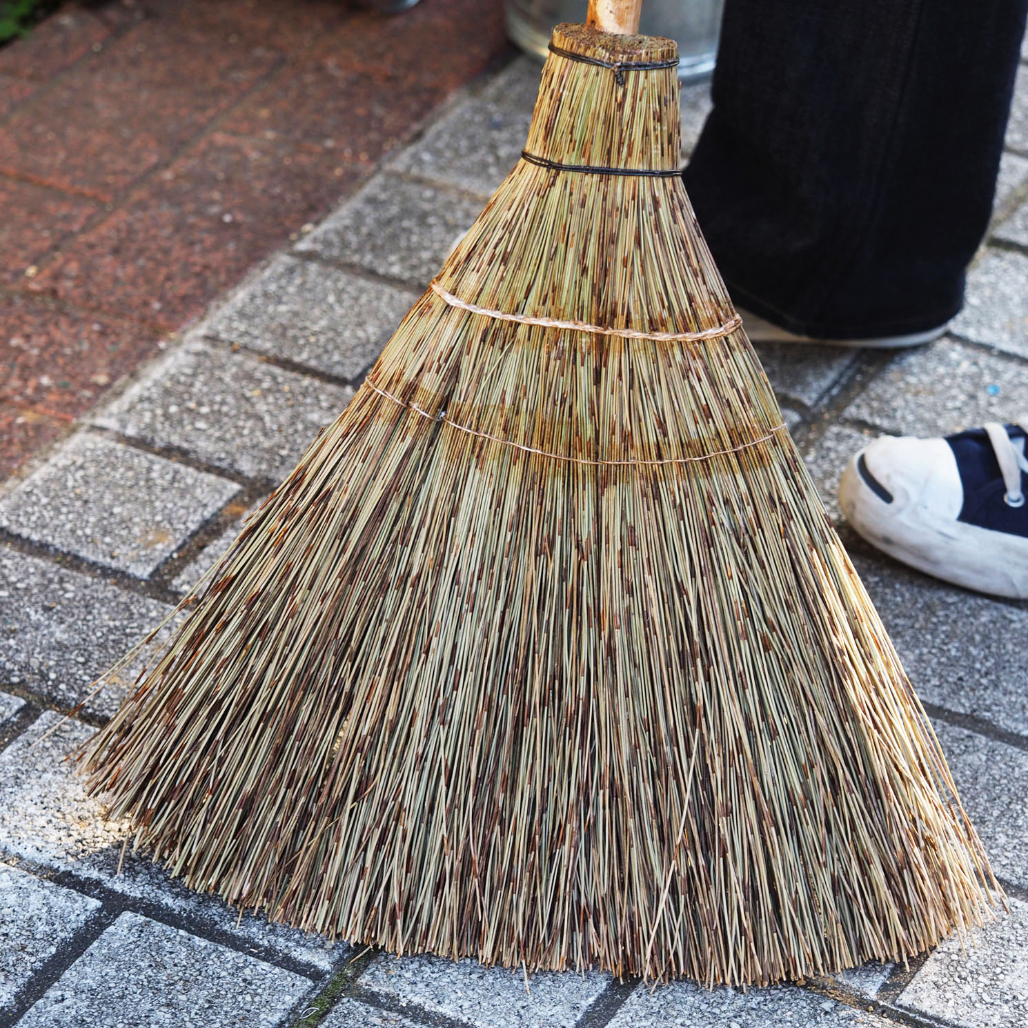 タイ庭ほうき拡大